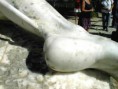 /album/a2001/a01-0605-grc-3-jpg/